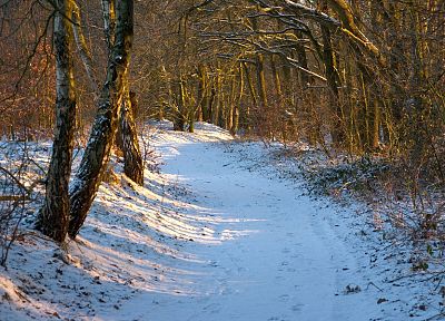 nature, snow, forests, snow landscapes - duplicate desktop wallpaper