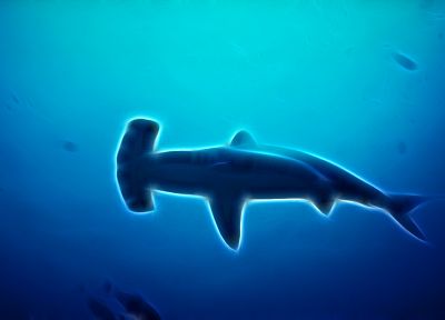 Fractalius, sharks - duplicate desktop wallpaper