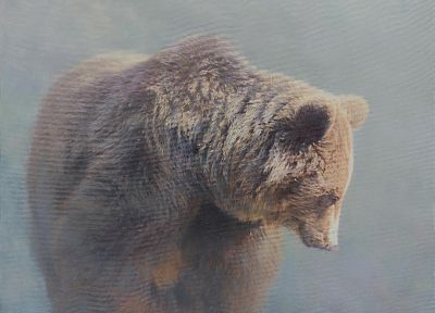 fog, bears, HDR photography, mammals - random desktop wallpaper
