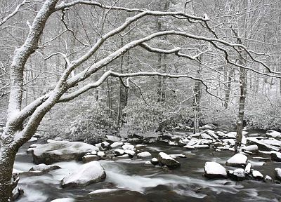 mountains, winter, Tennessee, National Park - desktop wallpaper