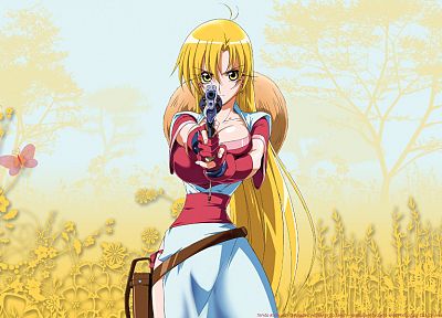 anime, Grenadier, Rushuna Tendo, anime girls - desktop wallpaper