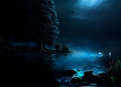 nature, night, swans, artwork - random desktop wallpaper