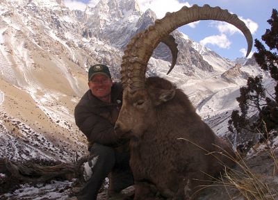 mountains, animals, wildlife, horns, Pakistan, ibex - duplicate desktop wallpaper