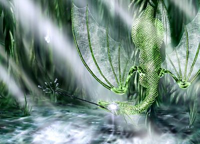fantasy, dragons, 3D - desktop wallpaper