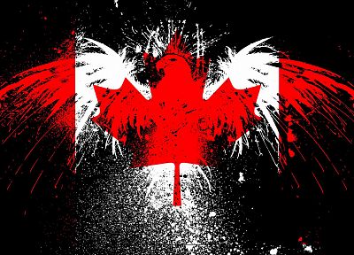 eagles, Canada, flags - desktop wallpaper
