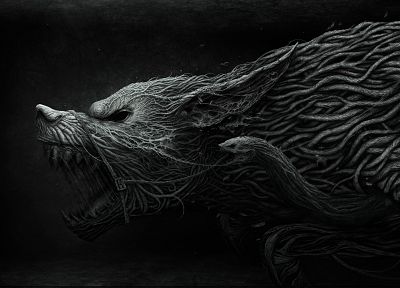 animals, snakes, muzzle, wolves, werewolves - random desktop wallpaper