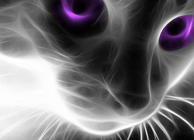 cats, Fractalius - random desktop wallpaper