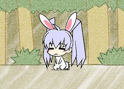 animal ears, bunny ears, anime girls - random desktop wallpaper