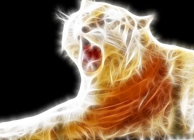 tigers, Fractalius - duplicate desktop wallpaper