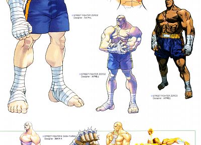 Street Fighter, Sagat, street fighter alpha - random desktop wallpaper
