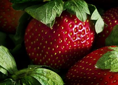 fruits, strawberries - random desktop wallpaper