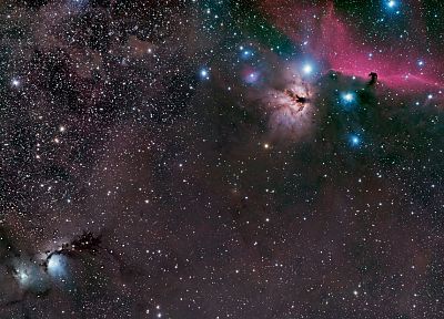 outer space, Horsehead Nebula - random desktop wallpaper