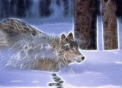 Fractalius, wolves - related desktop wallpaper