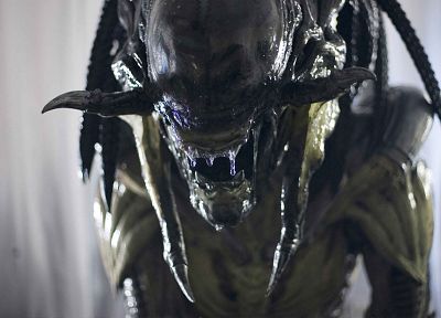 Aliens vs Predator movie, Aliens movie, Aliens - related desktop wallpaper