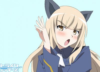 blondes, Strike Witches, uniforms, army, military, text, long hair, nekomimi, animal ears, yellow eyes, blush, open mouth, Perrine H. Clostermann, simple background, anime girls, blue background - random desktop wallpaper