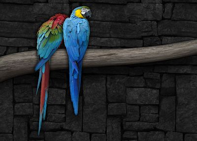 multicolor, birds, parrots, Scarlet Macaws, branches, Macaw, Blue-and-yellow Macaws - random desktop wallpaper