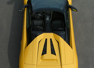cars, vehicles, Lamborghini Murcielago - related desktop wallpaper