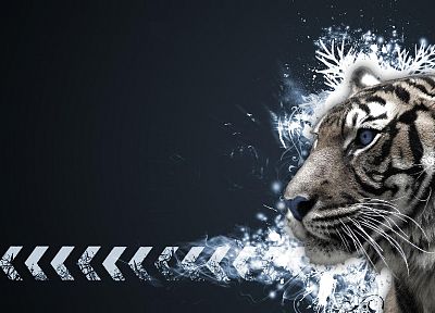 abstract, tigers - duplicate desktop wallpaper
