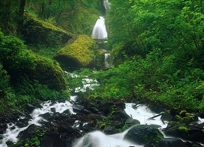 water, nature, trees, waterfalls - desktop wallpaper