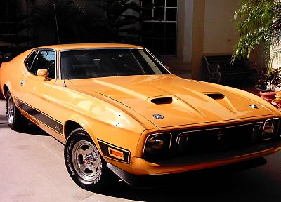 vehicles, Ford Mustang Mach 1, old car - related desktop wallpaper