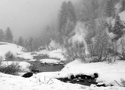 nature, winter, snow, trees, rocks, rivers - desktop wallpaper