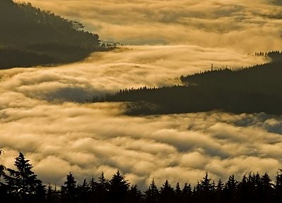 fog, British Columbia - random desktop wallpaper
