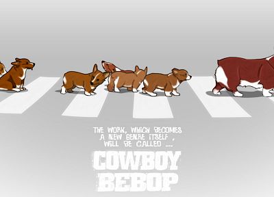 Cowboy Bebop, Corgi - random desktop wallpaper