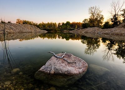 stones, lakes, branches - desktop wallpaper