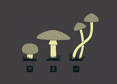 drugs, funny, mushrooms, simple background - desktop wallpaper