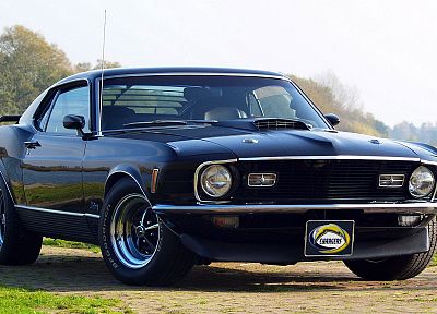 cars, vehicles, Ford Mustang, classic cars - related desktop wallpaper