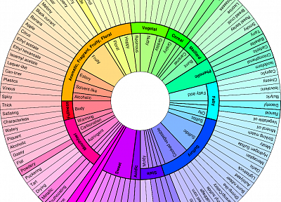 food, circles, rainbows, infographics, wheels, nutrition - related desktop wallpaper
