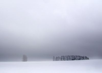 nature, winter, snow, white, fog, outdoors, plants, snow landscapes - desktop wallpaper