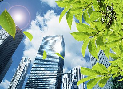 cityscapes, leaves, buildings, skyscrapers, photo manipulation - related desktop wallpaper