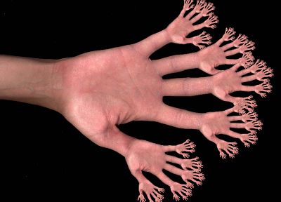 palm, fractals, hands, photo manipulation - random desktop wallpaper