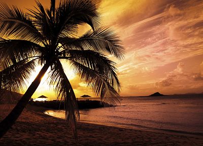 sunset, clouds, landscapes, nature, sand, trees, paradise, palm trees, beaches - desktop wallpaper