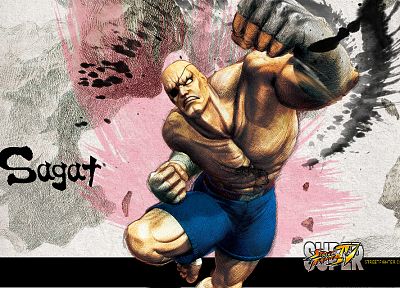Sagat, Street Fighter IV - random desktop wallpaper