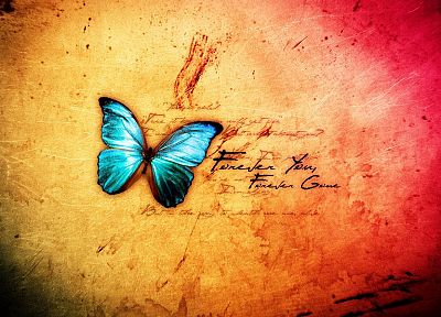 abstract, butterflies - desktop wallpaper