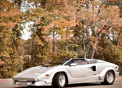 autumn, cars, Lamborghini Countach - desktop wallpaper