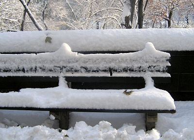 winter, snow, park bench - random desktop wallpaper