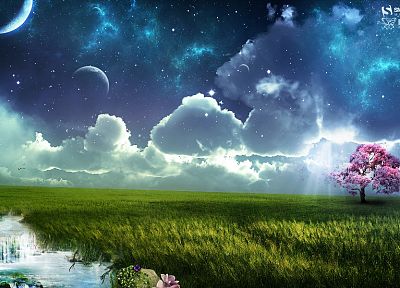 fantasy, clouds, trees, Moon, grass, skyscapes - related desktop wallpaper