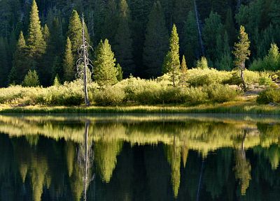 water, landscapes, nature, reflections - duplicate desktop wallpaper