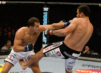 MMA, UFC, Junior Dos Santos, Dos Santos, Fabricio Werdum, fighters - desktop wallpaper