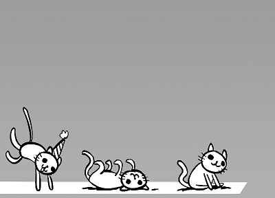 party cat - related desktop wallpaper