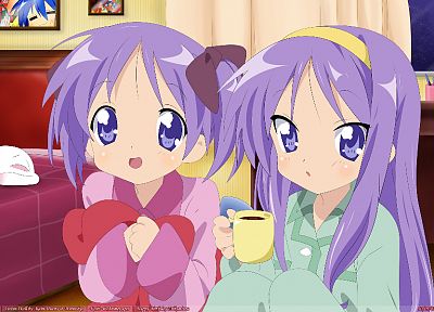 Lucky Star, Hiiragi Kagami, Hiiragi Tsukasa, purple hair, tsukasa - related desktop wallpaper