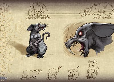 rats - random desktop wallpaper
