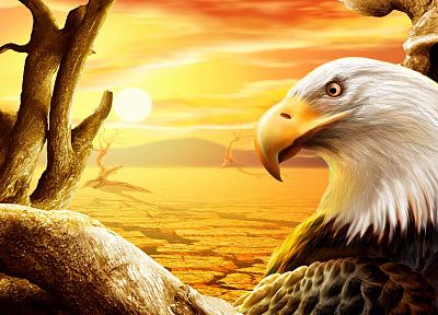 CGI, eagles - desktop wallpaper