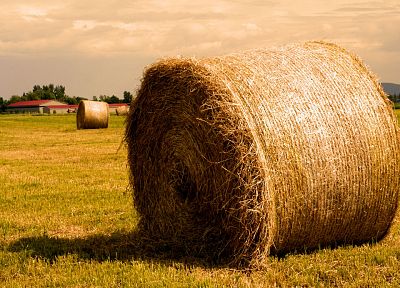 landscapes, hay, farmland - related desktop wallpaper