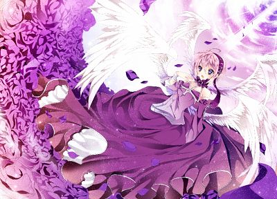 angels, wings, pink, blue eyes, pink hair - duplicate desktop wallpaper
