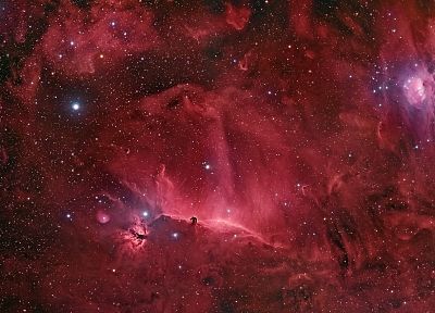 outer space, nebulae, Horsehead Nebula - duplicate desktop wallpaper