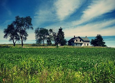 landscapes, houses, fields, farmhouse, farms - desktop wallpaper
